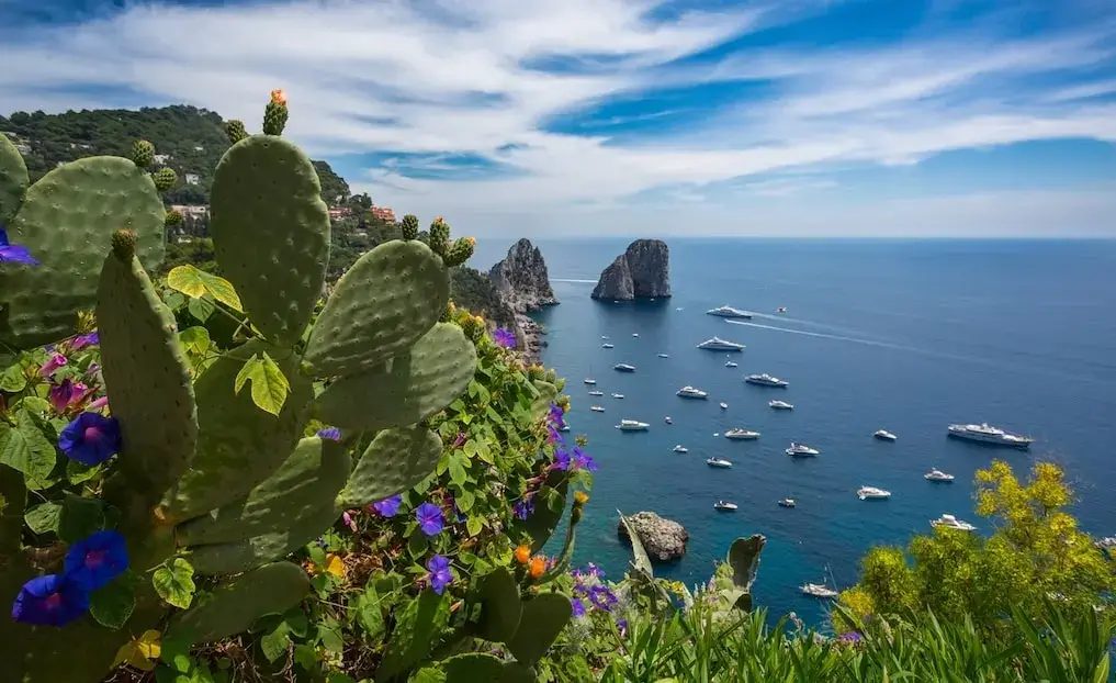 Capri