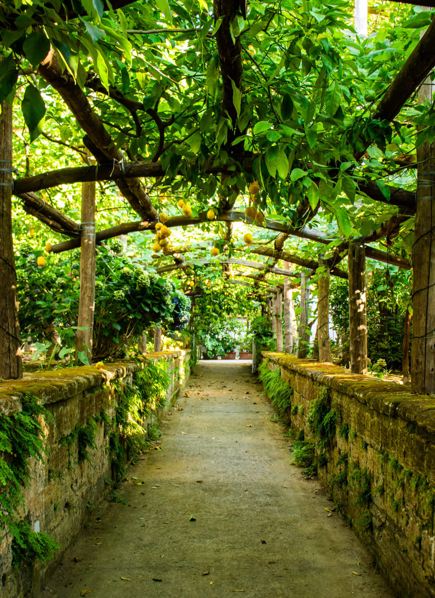 Sorrento
